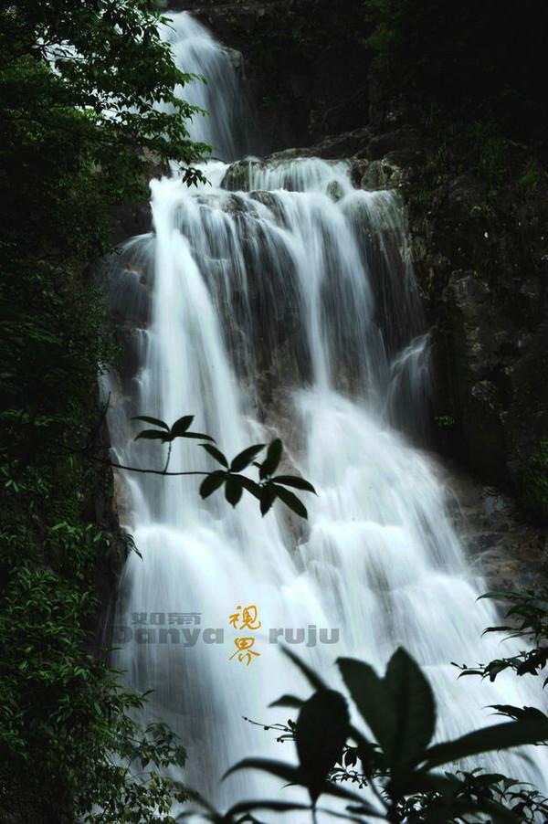 东北抗联老战士为台湾“小当归”一家讲述历史 潮新闻对话“小当归”母亲
